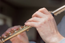 Load image into Gallery viewer, Flute Cushion (2 in one set)