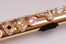 Load image into Gallery viewer, Flute Cushion (2 in one set)